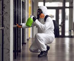 Best Asbestos and Lead Testing During Mold Inspection  in USA